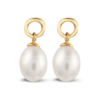 Y&G Oorhanger | Zoetwaterparel & 14k goud